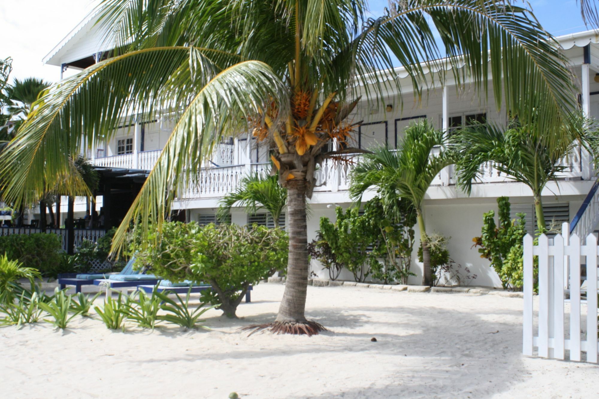 Holiday Hotel San Pedro  Exteriör bild